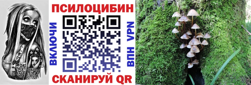Псилоцибиновые грибы Magic Shrooms Коркино